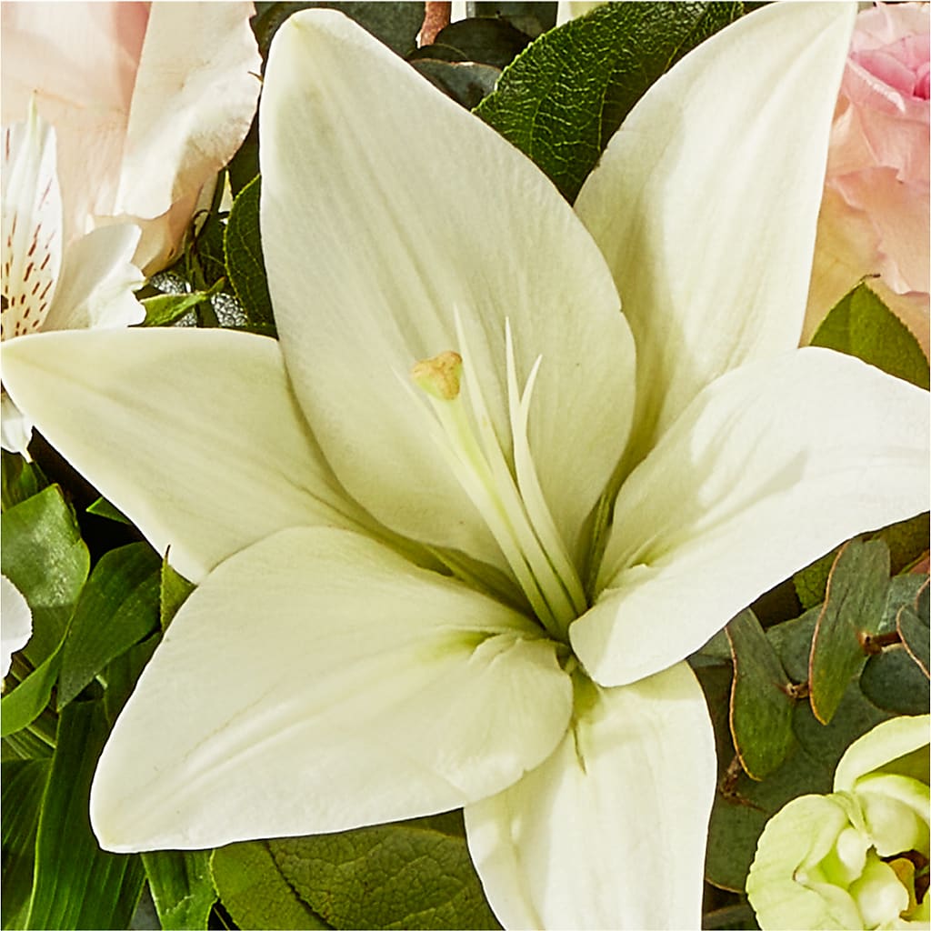Ballet Slippers Bouquet –  Green Leaf, West Springfield MA