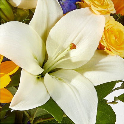 Wonderfully Sunny Bouquet –  Green Leaf, West Springfield MA
