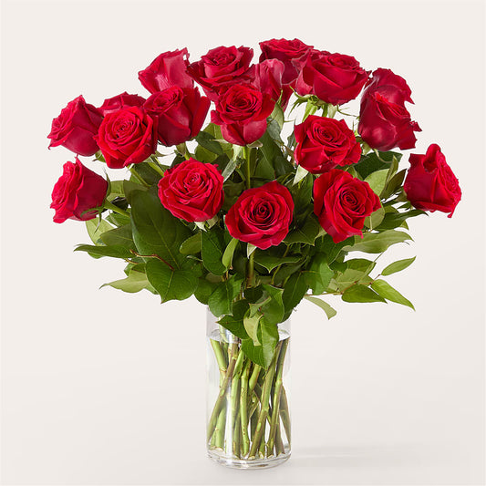 The One Red Rose Bouquet –  Green Leaf, West Springfield MA