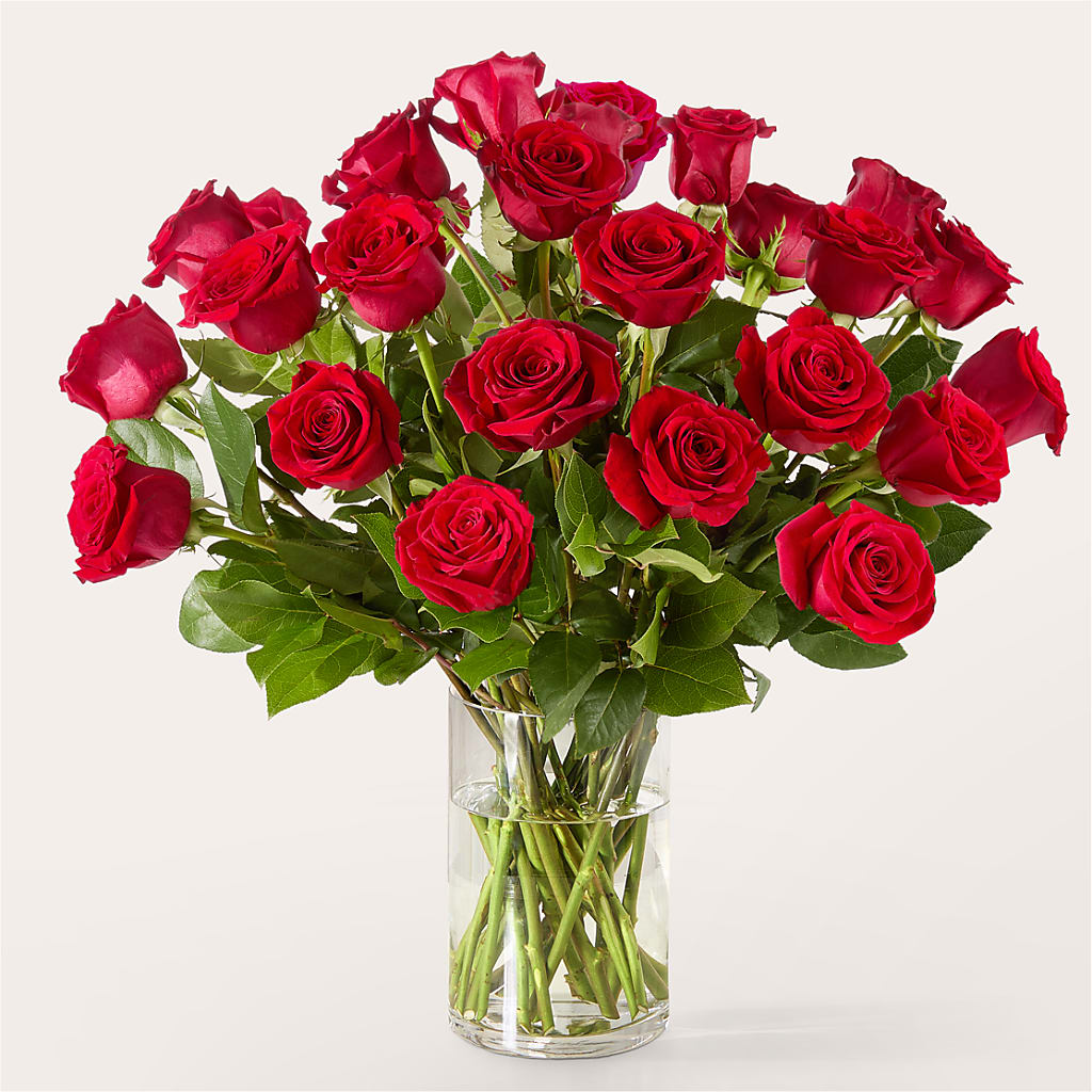 The One Red Rose Bouquet –  Green Leaf, West Springfield MA