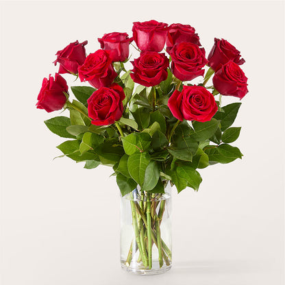 The One Red Rose Bouquet –  Green Leaf, West Springfield MA