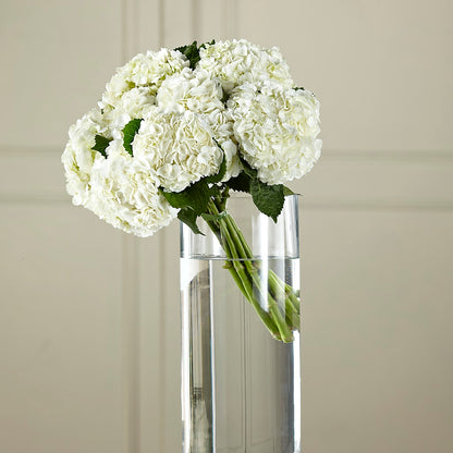 White Hydrangea Hand-Tied Bouquet –  Green Leaf, West Springfield MA