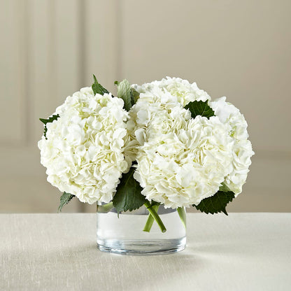 White Hydrangea Bouquet –  Green Leaf, West Springfield MA